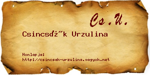 Csincsák Urzulina névjegykártya